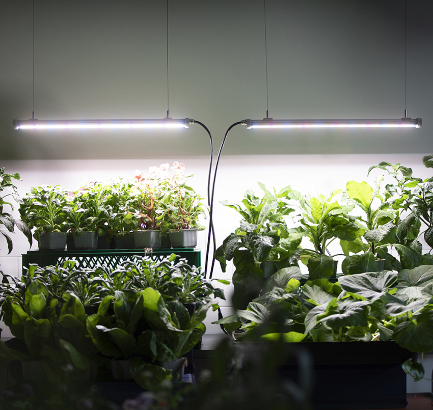 LED-belysning 60 cm 40 W Utvidelse i gruppen Tilbehør / Plantebelysning hos Impecta Fröhandel (55831)