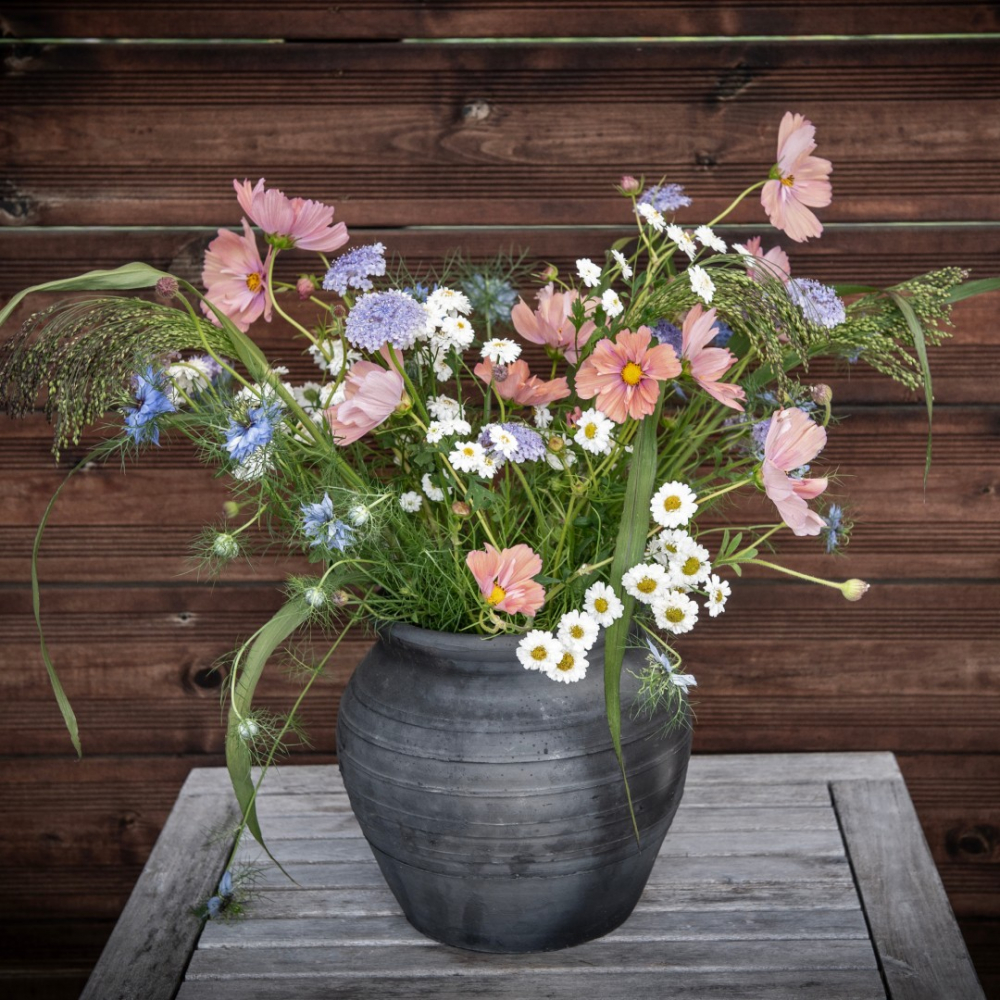 Frøpakke Snittblomster 'Rosa og blått'