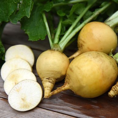 Nepe 'Amarillo bola de oro'