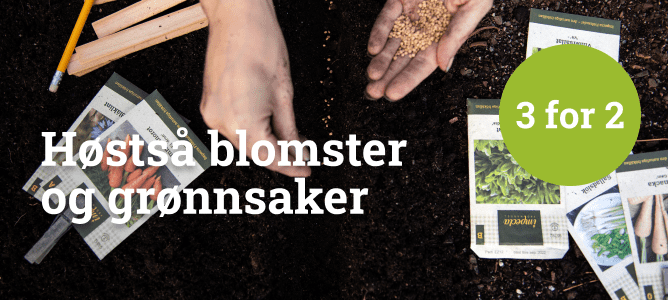 Høstså blomster og grønnsaker - 3 for 2