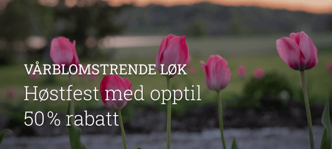 Vårblomstrende løk og knoller