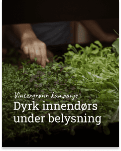 Dyrk innendørs