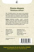 Sinnia 'Oklahoma Salmon'